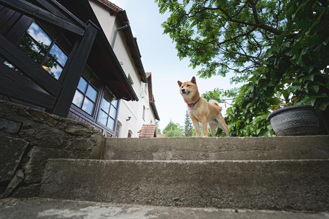 Penzion Onyx Český Krumlov Kültér fotó