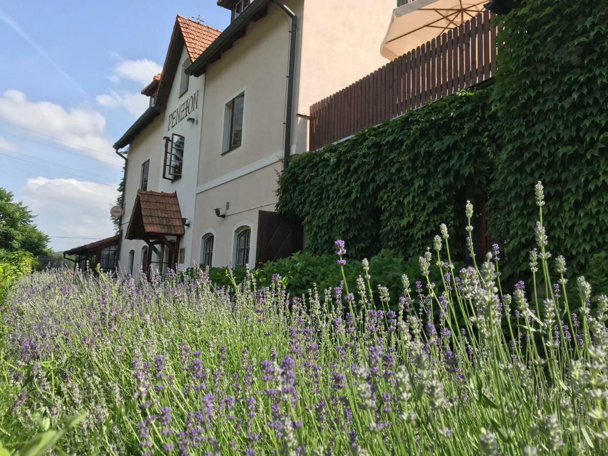 Penzion Onyx Hotel Český Krumlov Kültér fotó